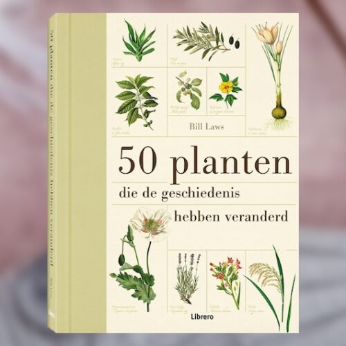 1.50-planten-die-de-geschiedenis-hebben-veranderd
