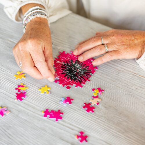 1.Bloemen-puzzel-brievenbus-cadeau-Naturesgift-flowers-colourful-kleurrijk-vrolijk-cadeau-per-post-puzzle