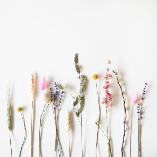 2.Bloomemory-memories-memory-plankje-droogbloemen-cadeau-gift-brievenbus-bloemen-kaart-dry-dried-flowers-bloompost2