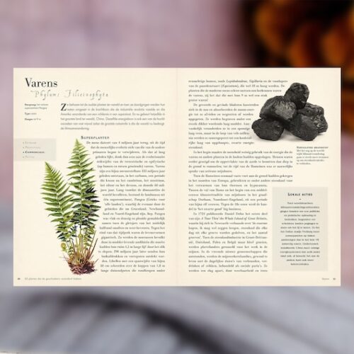 3.50-planten-die-de-geschiedenis-hebben-veranderd