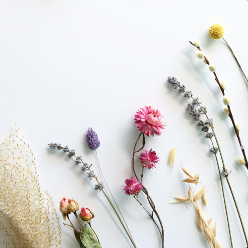 3.BloomPosy-droog-bloemen-dried-flowers-brievenbus-cadeau-special-gift-bloemen-bloompost800