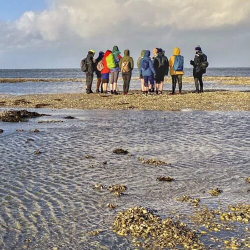 3.Waddenvereniging-Donatie-Natures-gift-duurzaam-cadeau-cadeaukaart