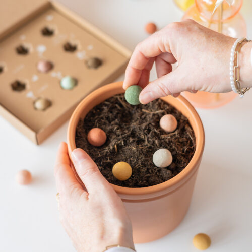 4.Blossoms-zaai-bommetjes-trend-BloomPost