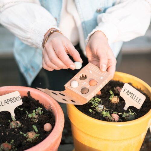 6.Flowers-for-you-met-gardening-kit-zaai-bommetjes-Zaden-Blossoms-BloomPost