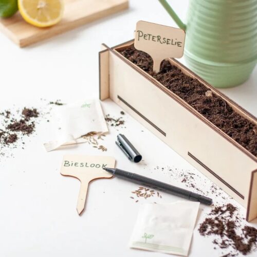 Afbeelding-2