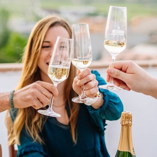 Neleman-100230-Cava-Brut-Macabeo-Chardonnay-natures-gift-duurzaam-cadeau-sustainable-gift-card-duurzaamheid-natuur-geschenk-gifts-impact2