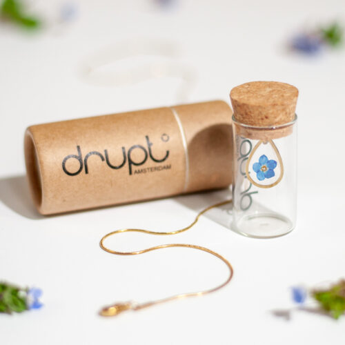 Vergeet-me-nietje-platte-ketting-drupt-800-3