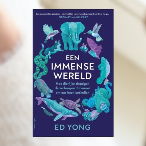 een-Immense-Wereld1