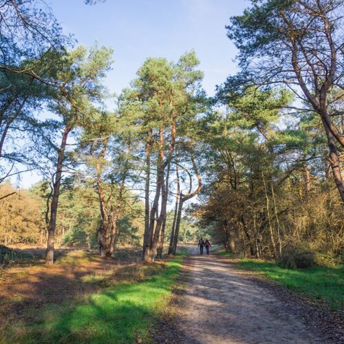 3Doenkado-Natures-Gift-Nivon-trektocht-Drenthe-2daagse