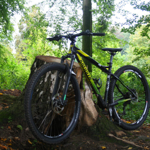 Mountainbiken-Veluwe-doen-kado-uitjes-cadeau-geven-belevenis1