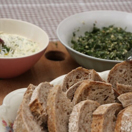 Pocketfullofgreens_Wildplukwandeling_Achterhoek2