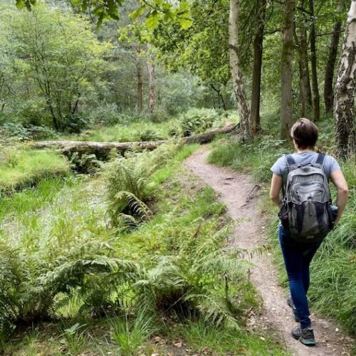 verrassend-avontuur-noord-brabant1